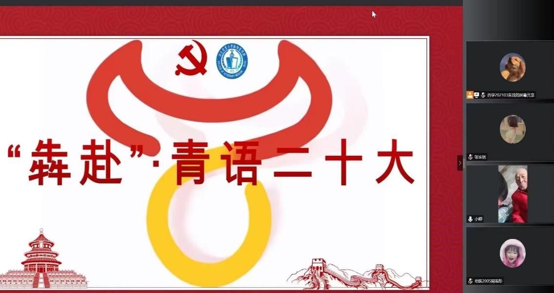日本巨乳av