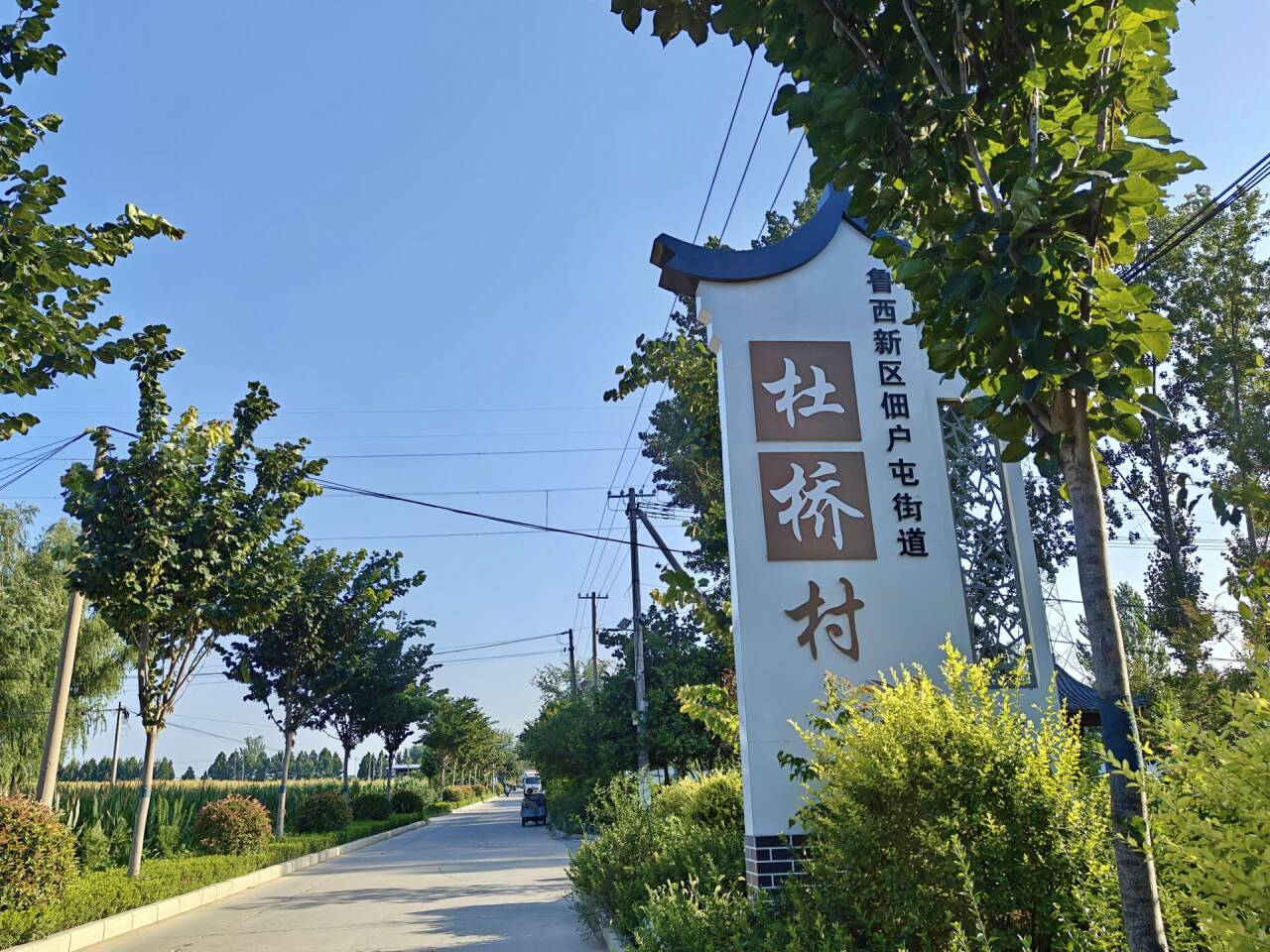 日本巨乳av