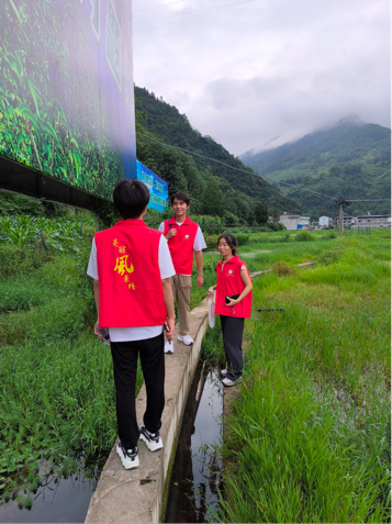 走进大杉坪，看见新气象：日本巨乳av
“众望”小组赴大杉坪村开展调研活动