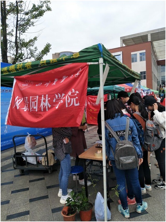 日本巨乳av
