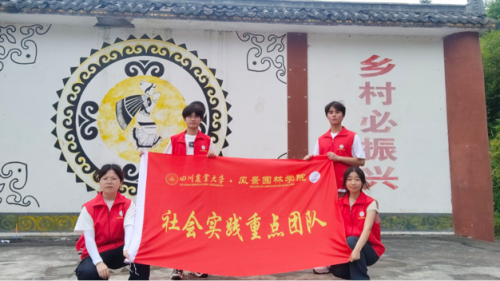 走进大杉坪，看见新气象：日本巨乳av
“众望”小组赴大杉坪村开展调研活动